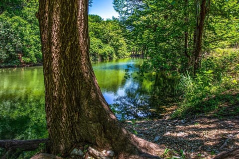 Indulge in water-based activities on the Medina, or just let the sights and sounds of the peaceful natural setting carry you away for a while!