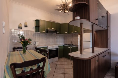 Two Bedroom Apartment with Garden View | Private kitchen | Mini-fridge, eco-friendly cleaning products