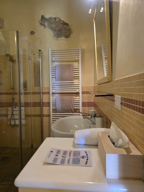 Family Room, Courtyard Area | Bathroom | Hair dryer, bidet, towels, soap