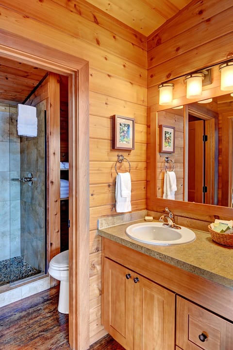 Shower, designer toiletries, hair dryer, towels