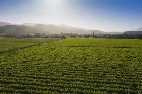 Unparalleled sunsets.