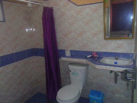 Classic Double Room Single Use, Accessible, Garden View | Bathroom | Shower, rainfall showerhead, free toiletries, hair dryer