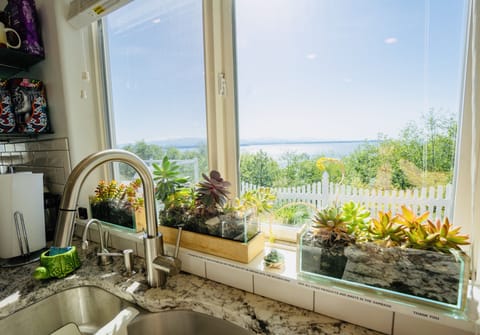 Look out from the kitchen