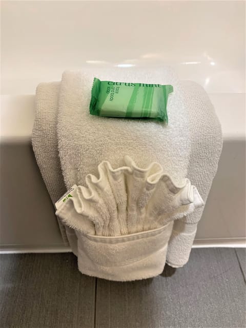 Eco-friendly toiletries, hair dryer, towels