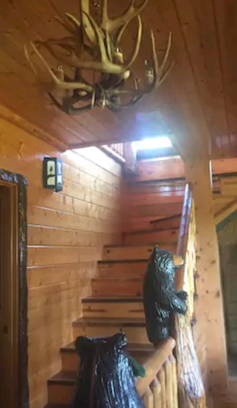 BEARS SURROUND YOU AS YOU WALK THE STAIRS