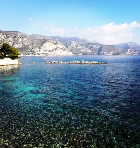 Nice walk on Promenade Rouvier