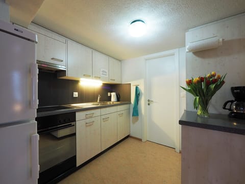 Panoramic Apartment, Balcony, Mountain View (B) | Private kitchen | Fridge, microwave, oven, stovetop