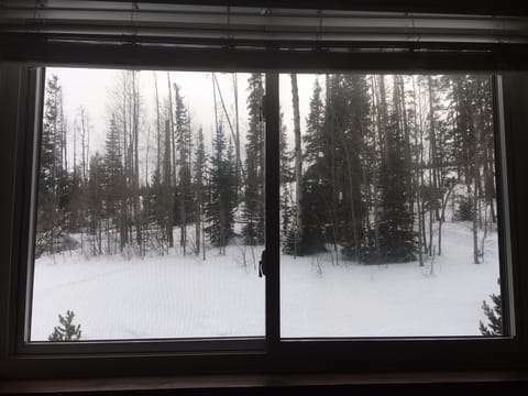 View from bedroom windows - watch deer, elk, moose, fox and other wildlife!