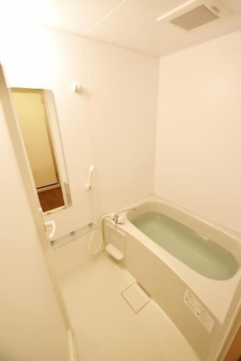 Combined shower/tub, free toiletries, hair dryer, slippers