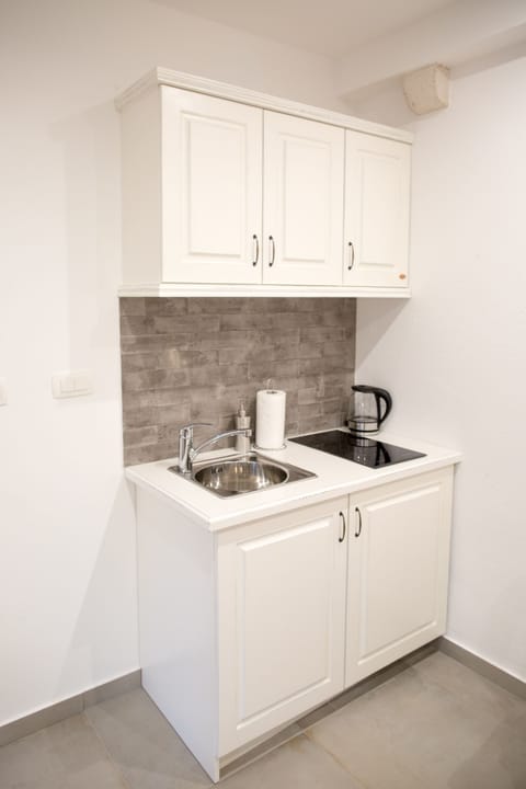 Apartment, City View (Dalija) | Private kitchen | Full-size fridge, stovetop, dishwasher, coffee/tea maker