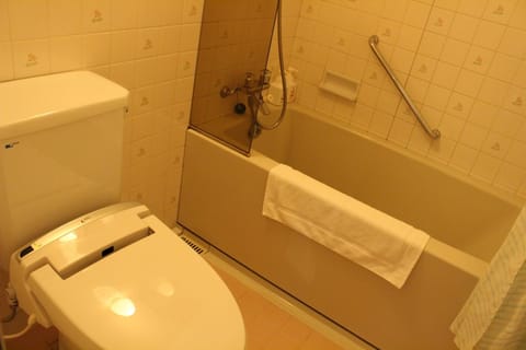 Combined shower/tub, free toiletries, hair dryer, slippers