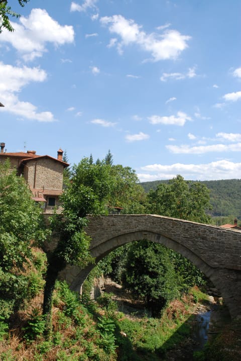 The bridge of Ponte alla Piera