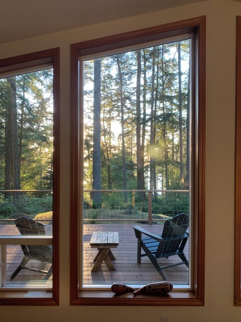 West facing living room windows get blasted by evening sun