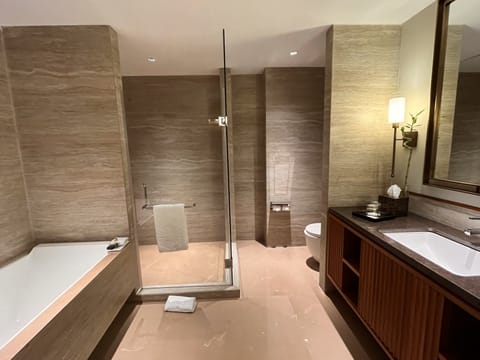 Deluxe Suite | Bathroom | Free toiletries, hair dryer, bidet, towels