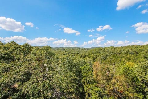 View of the Ozark Mountains