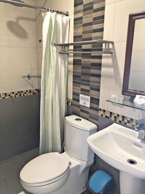 Deluxe Room | Bathroom | Shower, hair dryer, bidet, towels