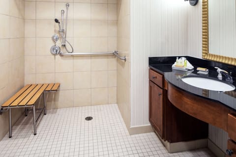 Standard Studio, Accessible, Non Smoking | Bathroom shower