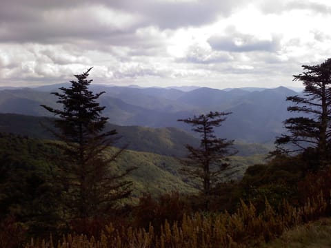 View from Water Rock Knob. Only 20 minutes from our cottages.
