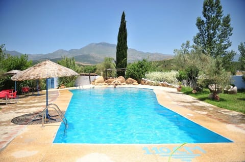 Seasonal outdoor pool, pool umbrellas, sun loungers