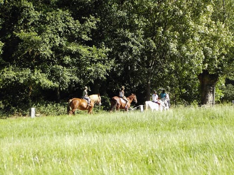 Horseback riding