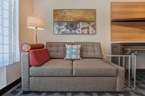 40-inch flat-screen TV with premium channels, TV