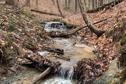Stream on property at Hawking Pond Cabin