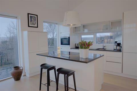 Deluxe Apartment, 1 Bedroom (201) | Private kitchen | Full-size fridge, microwave, oven, stovetop