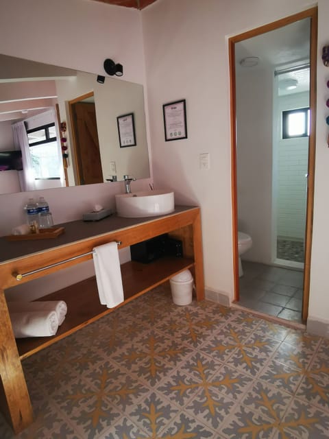 Luxury Room, 1 King Bed | Bathroom | Shower, rainfall showerhead, eco-friendly toiletries, hair dryer