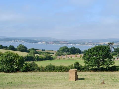 Breathtaking estuary views | Estuary View, Exmouth