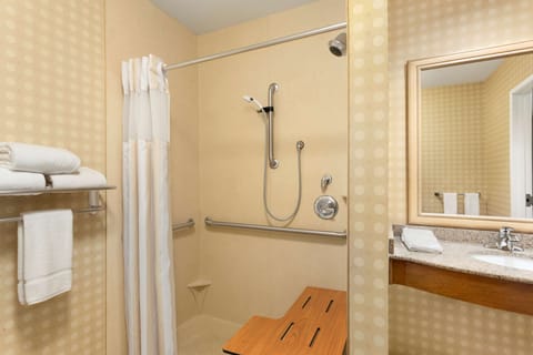 Room, Accessible | Bathroom shower