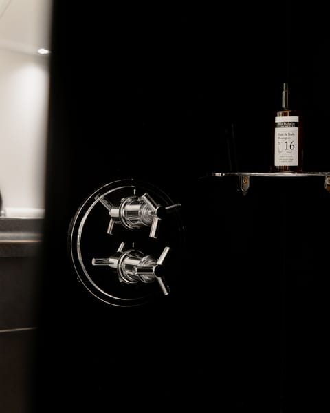 Shower, free toiletries, towels