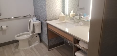 Room, 1 King Bed, Accessible, Bathtub (Hearing & Mobility) | Bathroom sink