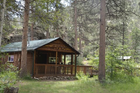 Beaver Lodge Cabin (#14) | Individually decorated, individually furnished, iron/ironing board