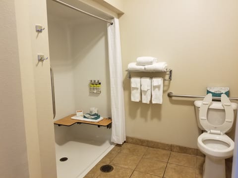 Studio, 1 Queen Bed, Accessible (Comm, Mobil Roll In Shwr) | Bathroom shower