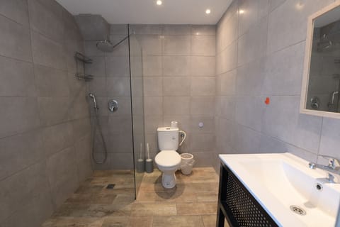 Family Suite | Bathroom | Shower, free toiletries, hair dryer, towels