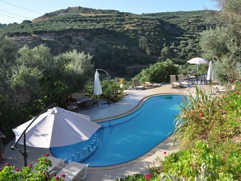 Pool area with view of the olive groves