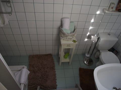 Traditional Double Room, 1 Double Bed | Bathroom | Shower, eco-friendly toiletries, hair dryer