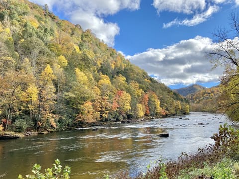 Fall color over the nearby French Broad River