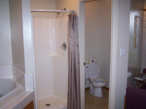 Romantic Jacuzzi Suite | Bathroom shower