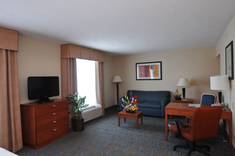 Studio Suite, 1 King Bed, Non Smoking | Premium bedding, pillowtop beds, in-room safe, blackout drapes