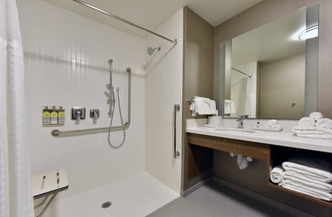 Suite, 1 Bedroom, Accessible, Kitchen (Communications, Roll-In Shower) | Bathroom | Free toiletries, hair dryer, towels, soap