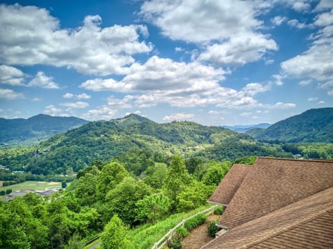 The Perch (Professional 06 (8)