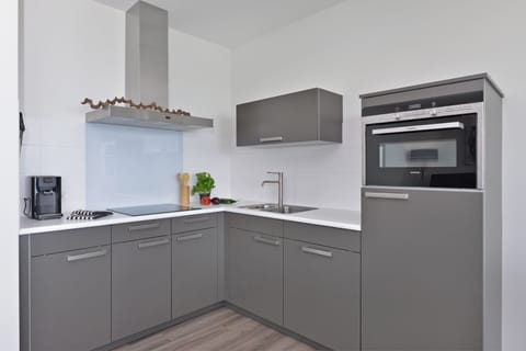 Apartment (Type I) | Private kitchen | Fridge, microwave, oven, stovetop