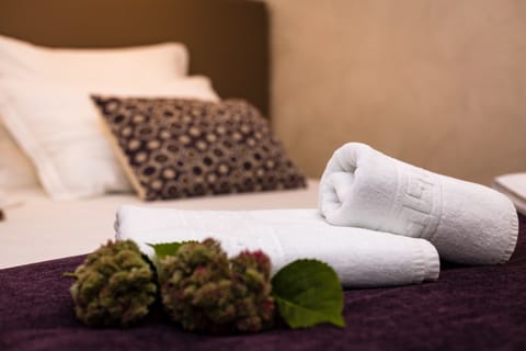 Deluxe Double or Twin Room, Pool Access | In-room safe, desk, blackout drapes, soundproofing