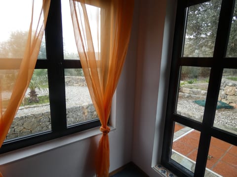 House | View from room