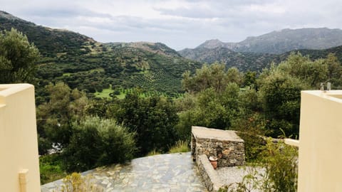 House | Terrace/patio