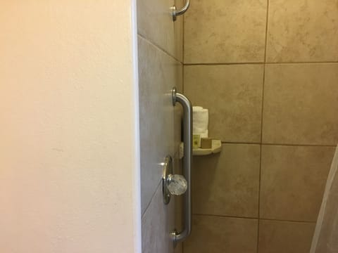 Family Room, Multiple Beds, Non Smoking | Bathroom shower