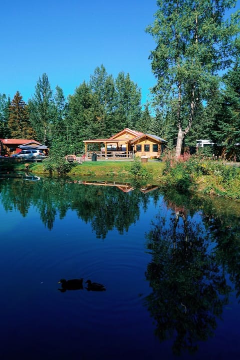 Cottonwood Valley Cabin | View from room