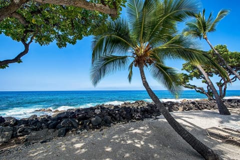 Condo, 1 Queen Bed with Sofa bed (Kona Isle A4) | Beach | On the beach