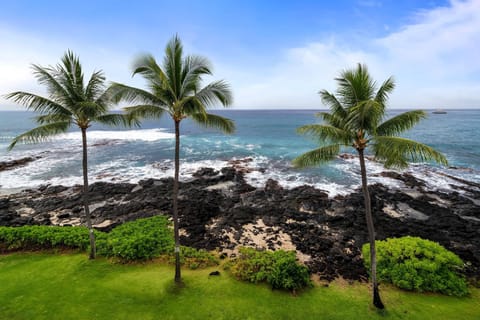 Condo, 1 King Bed with Sofa bed (Kona Reef D32) | Beach | On the beach